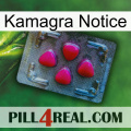 Kamagra Notice 13